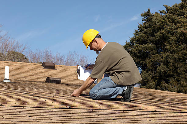 Roof Moss and Algae Removal in Newport, WA